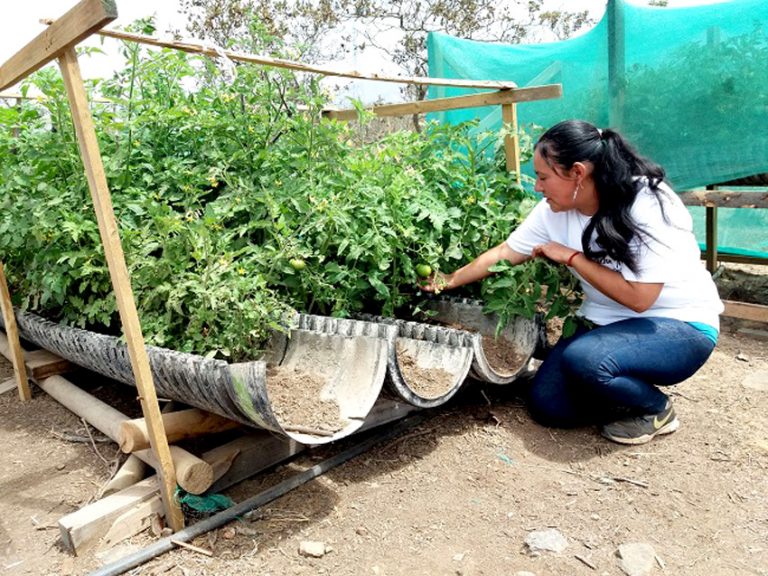 Mujeres duplican a los hombres en su interés por capacitarse