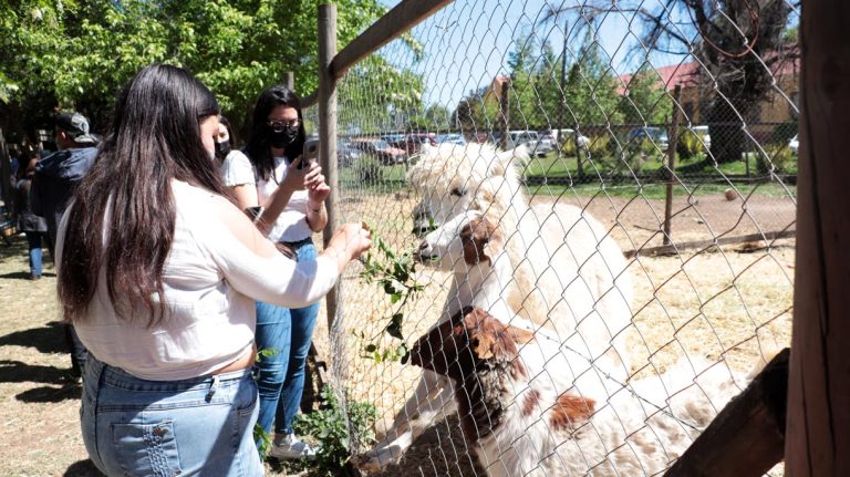 Diversión educativa y familiar: así  fue la Expo Granja 2021 en Molina