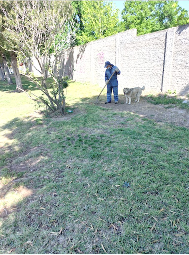 Vecinos de villa Apumanque esperan respuesta a demandas