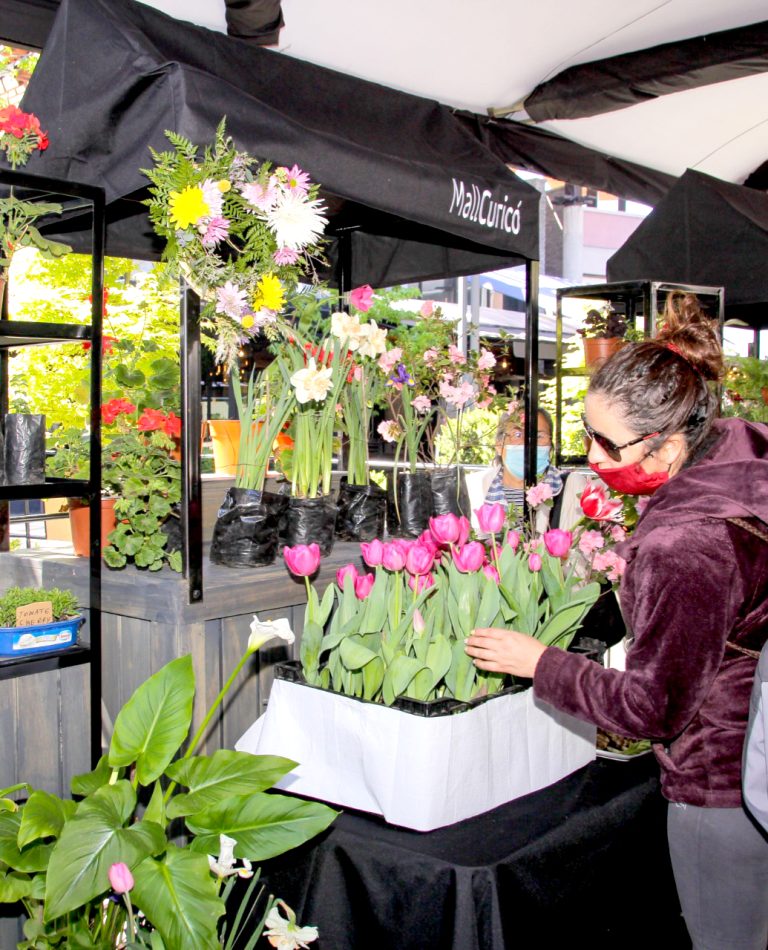 Usuarios de Indap instalan Feria de las Flores en Curicó