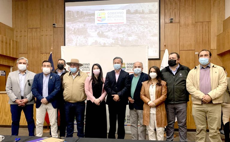 Gobernadora se reunió con alcaldes y alcaldesas del Maule