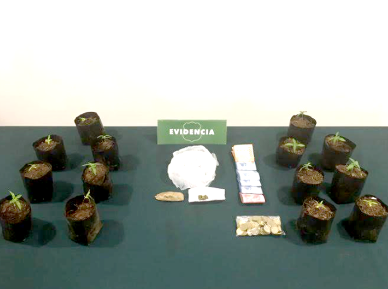 Detenidos dos mujeres y un hombre por tráfico de drogas