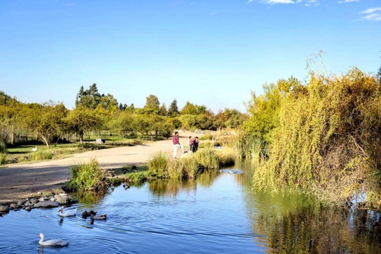 UTalca en su 40° aniversario reabre espacios culturales y Jardín Botánico a la comunidad