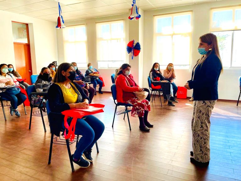 Gobierno Regional y Fosis buscan reactivar economía en comunas de zonas rezagadas