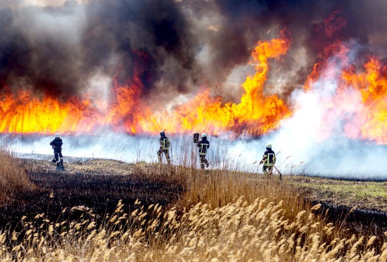 Delegado Presidencial advierte panorama poco alentador por alto riesgo de incendios forestales