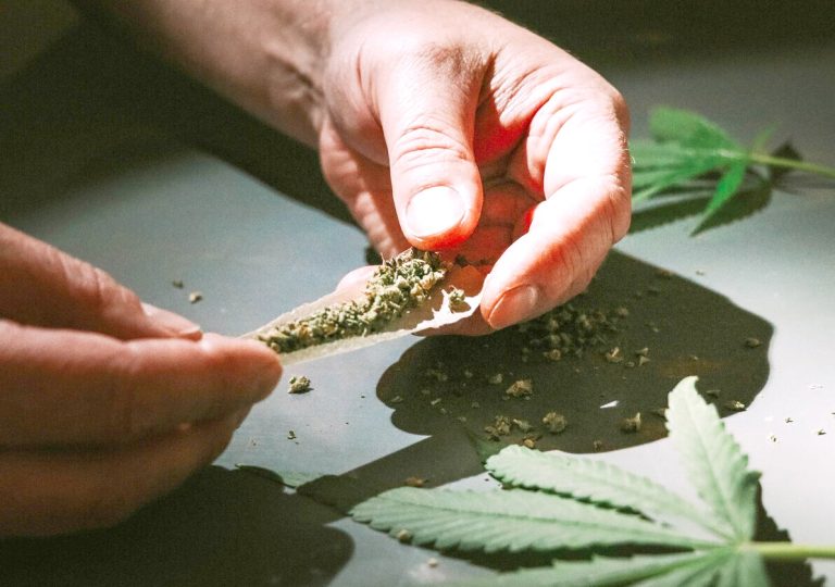 Estudio concluye que marihuana vendida en Chile no posee propiedades medicinales