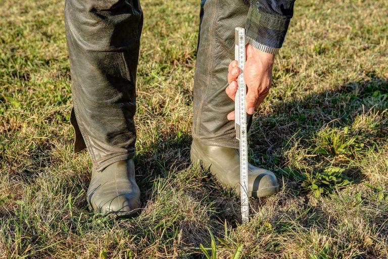 Curicó presenta su cuarto invierno más seco “del que se tenga registro”