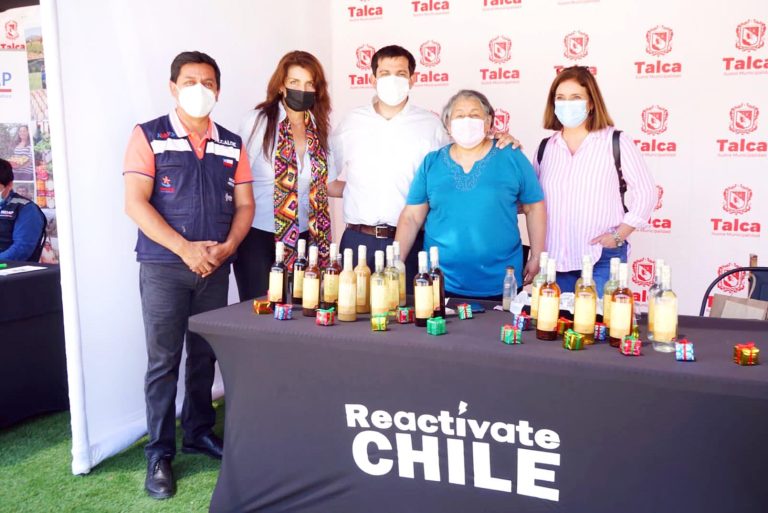 En plaza Cienfuegos de Talca lanzan Feria Reactívate Chile