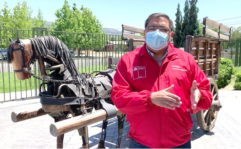 Transporte urbano y rural  mantendrá funcionamiento