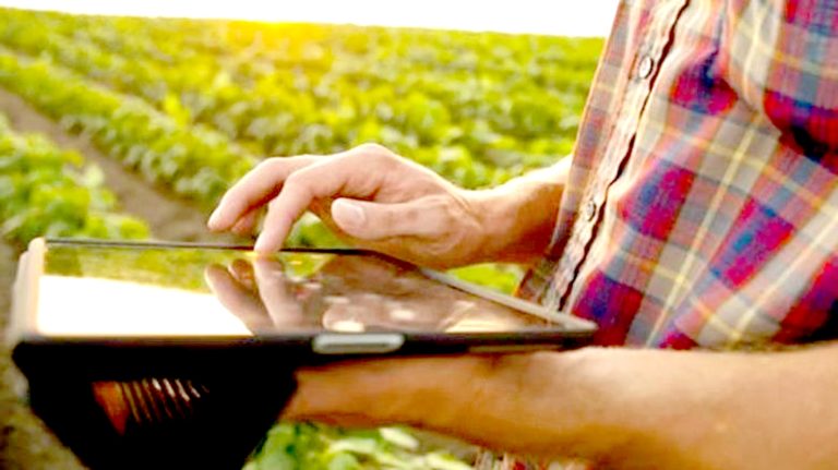 Más de 2 mil agricultores podrán capacitarse con la iniciativa “Renacer Digital en el Agro”