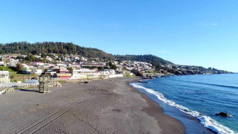 Con positivo balance termina su mandato el Consejo Regional del Medio Ambiente