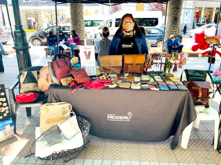 “Expo Prodemu” busca reactivar la economía femenina en el Maule
