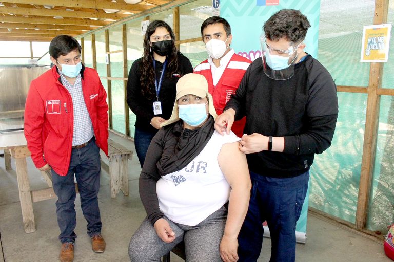 Acentúan operativos de vacunación contra el Covid-19 en el rubro agrícola de Linares