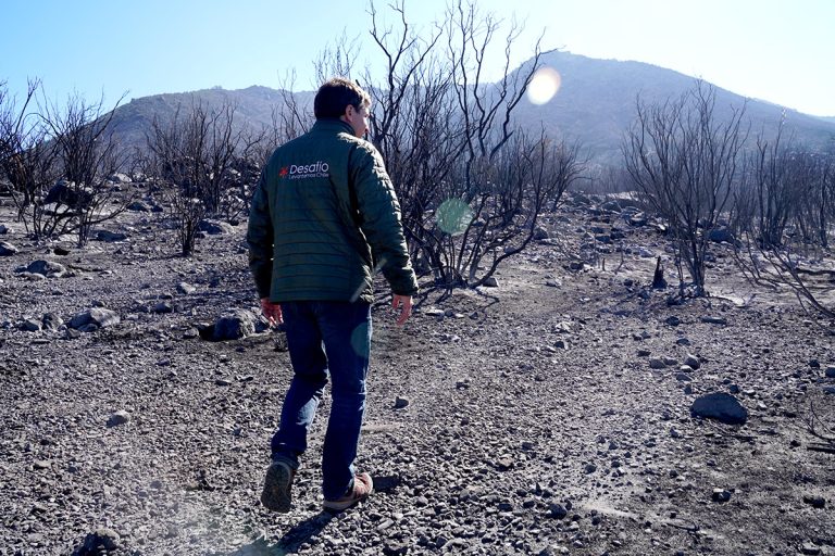 Desde Desafío Levantemos Chile brindan consejos para prevenir incendios forestales