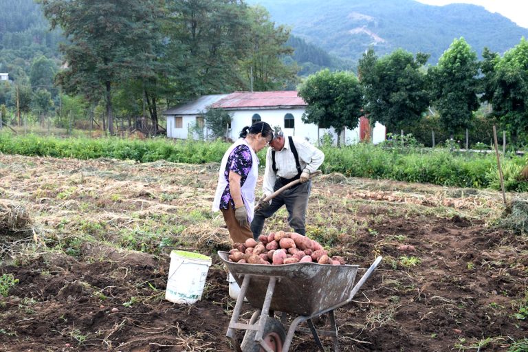 Falta de agua para producir alimentos se instala como la principal preocupación entre pequeños agricultores