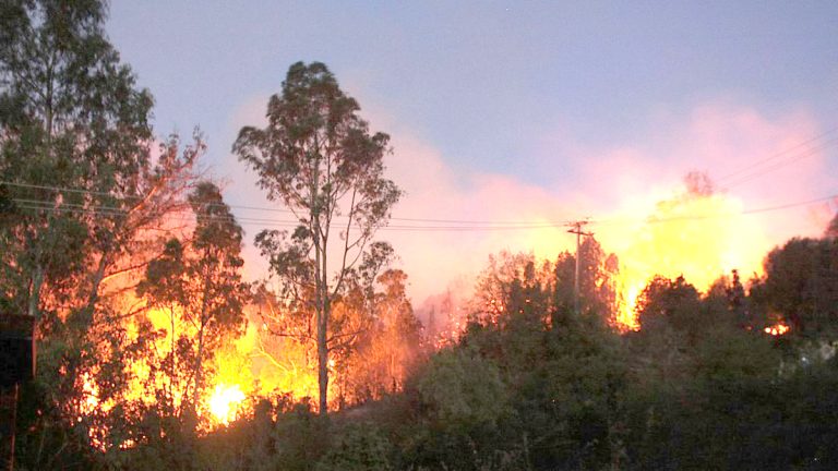 Víctimas de los incendios forestales del  2017 recibieron indemnizaciones de CGE