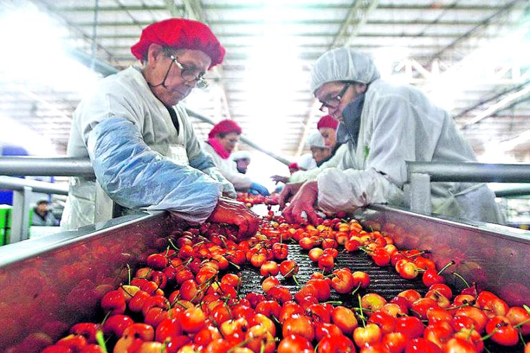 Confianza empresarial del Maule retrocedió dos niveles hasta “Moderadamente optimista”