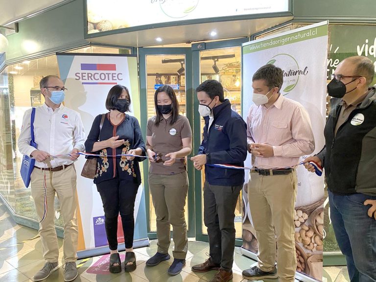 Lanzaron programa para potenciar pymes del Maule