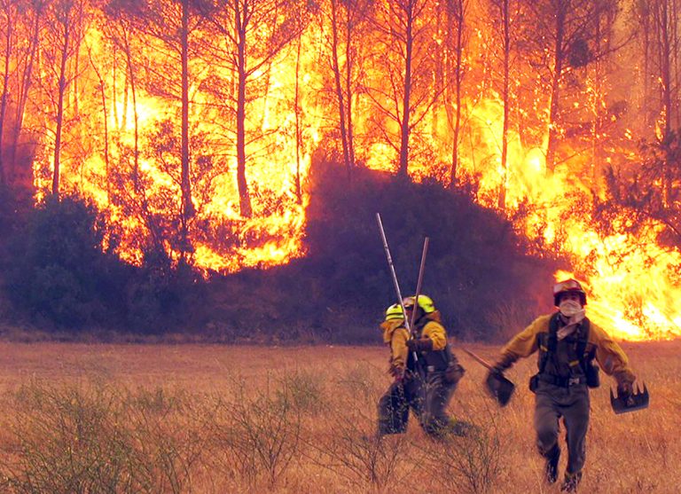 Luis Carrasco, director regional de Conaf: “Debemos hacer un gran esfuerzo para que tengamos la menor cantidad de incendios”