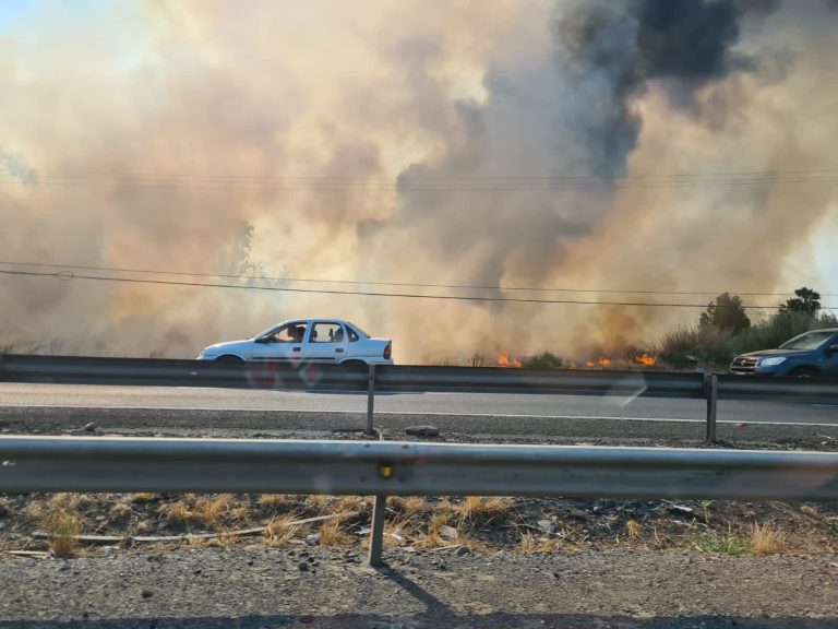 Región del Maule afrontó siete incendios forestales simultáneos