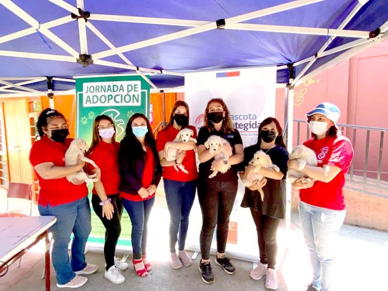 ONG Amigos de los animales recibió fondos de la Subdere