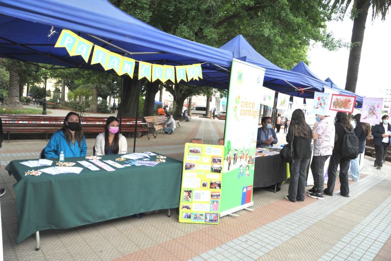 Municipio busca acercar la cultura a la comunidad