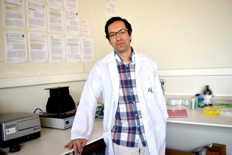 Investigación descubre sustancia que ayuda a remover el pesticida del medioambiente