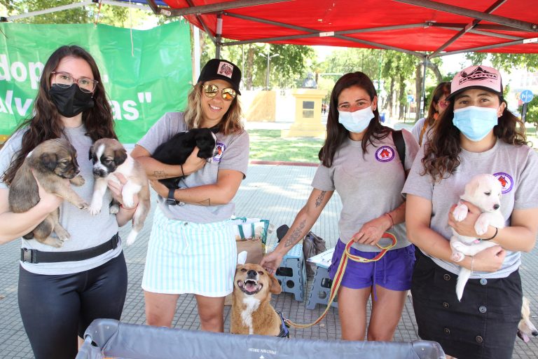 Fundación Paticorta cierra el año con jornada de adopción