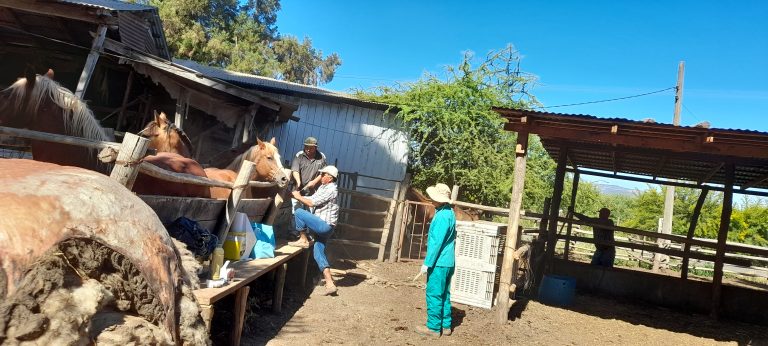 Municipio realiza importante apoyo a pequeños agricultores y ganaderos