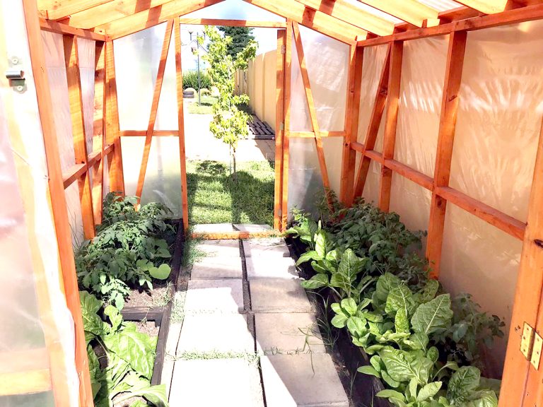 Implementan invernaderos didácticos en dos jardines infantiles de Curicó