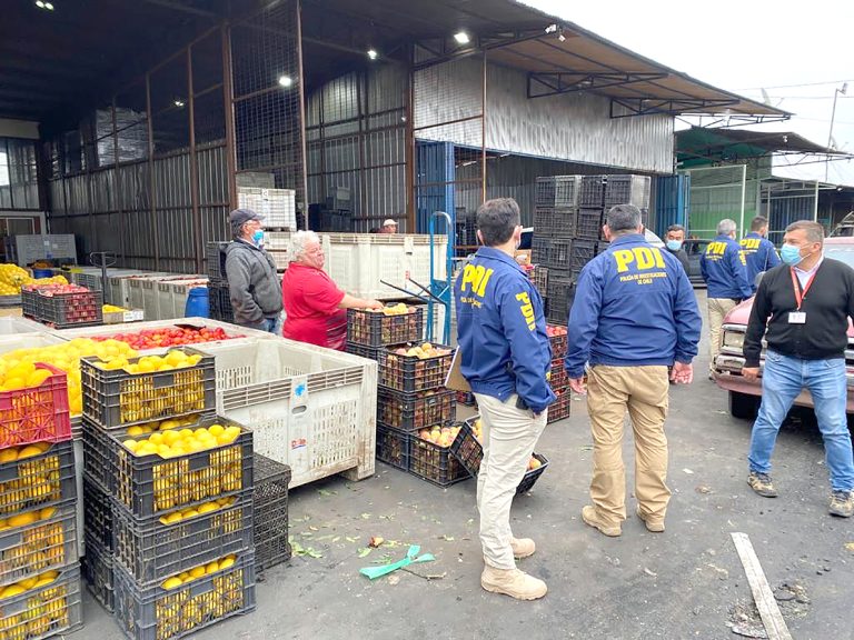 Detectan 23 extranjeros ilegales trabajando en Talca y Río Claro