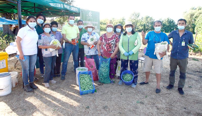 Realizan nueva cosecha en Granja  Educativa Agroecológica Municipal