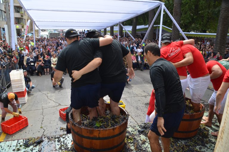 Definitivo: Por tercer año consecutivo Curicó no tendrá Fiesta de la Vendimia