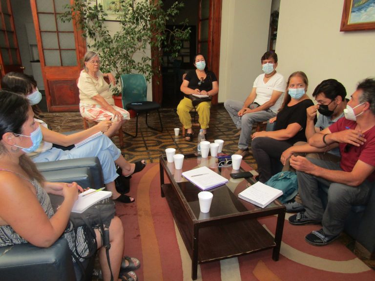 Organización medioambiental se opone a posible venta de energía a Argentina