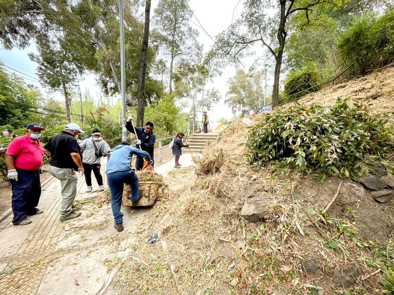 Municipio curicano lidera operativos  de limpieza y desmalezado en parques