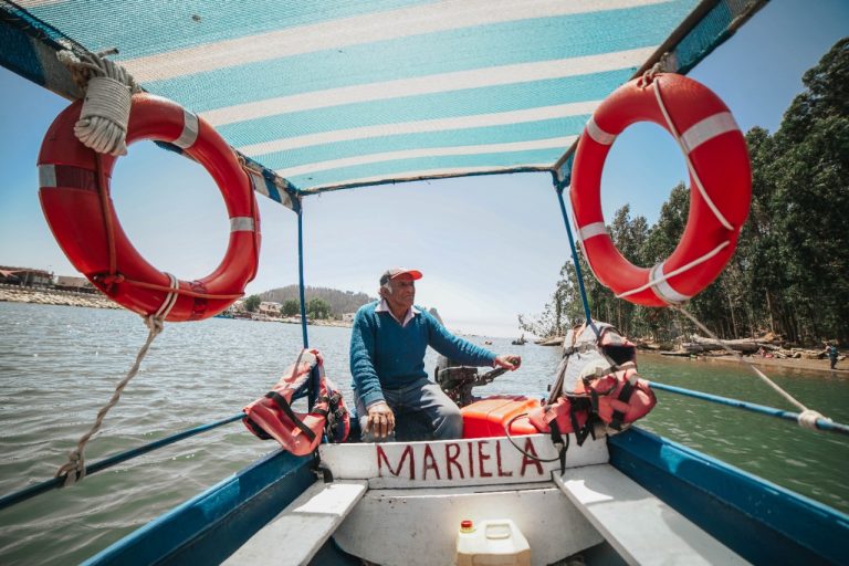 Extensión UCM lanza nuevo ciclo online dedicado a oficios del Maule