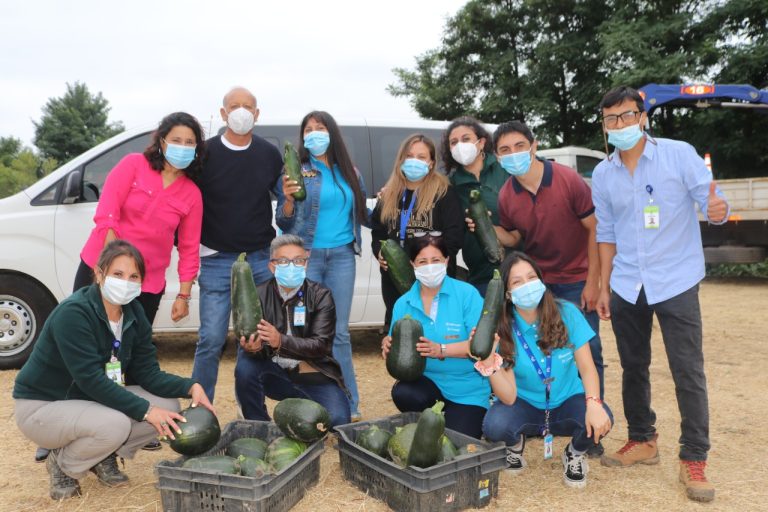 Granja Educativa Agroecológica Municipal produce sus primeras hortalizas