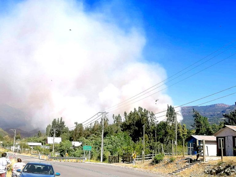 Incendio forestal activó “Alerta Roja” para Romeral