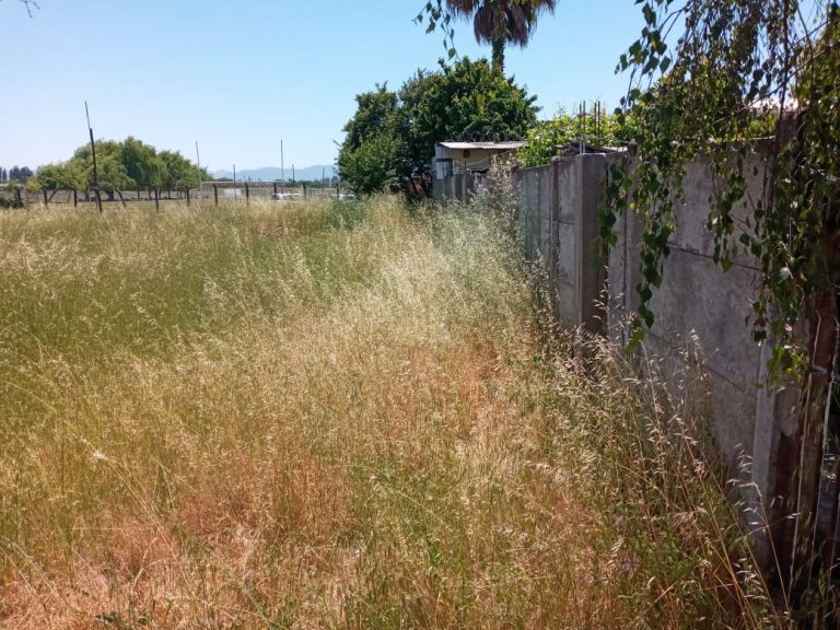 Llaman a denunciar sitios eriazos para evitar situaciones de riesgos