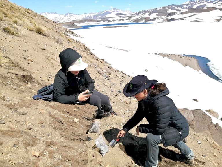 Generaron en el Maule única colección regional de microorganismos de Chile