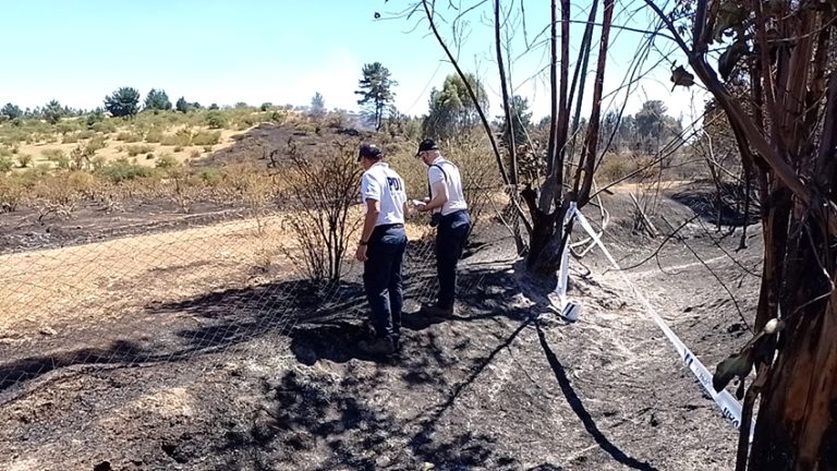 PDI realiza primeras diligencias por incendio forestal en Cauquenes
