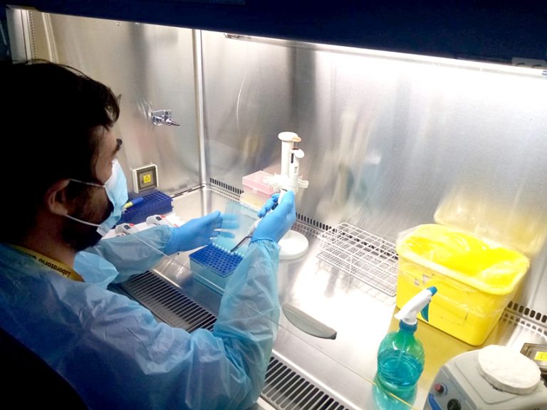 Laboratorios de toma de PCR del  Maule se han visto sobrepasados