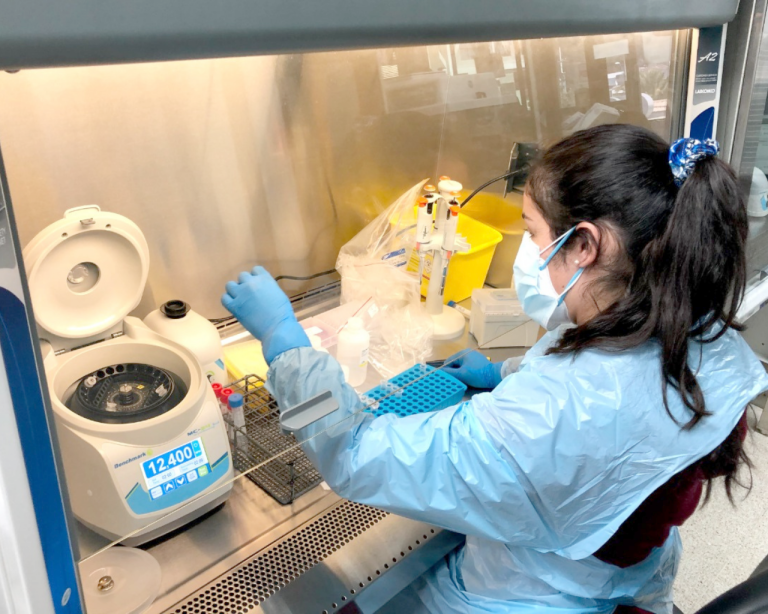 Suman personal ante alta  demanda por examen PCR