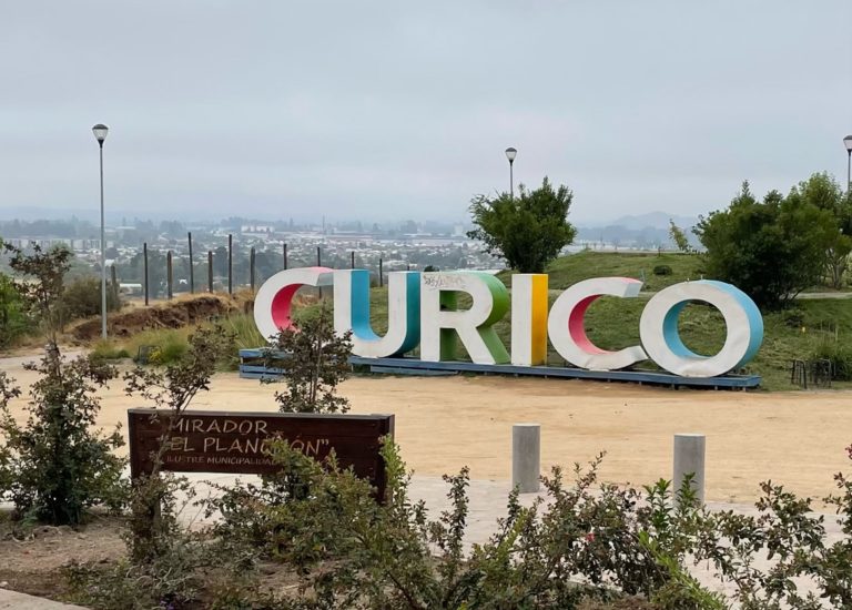 Iniciativas para crear nuevas regiones no lograron “entrar” a la Convención