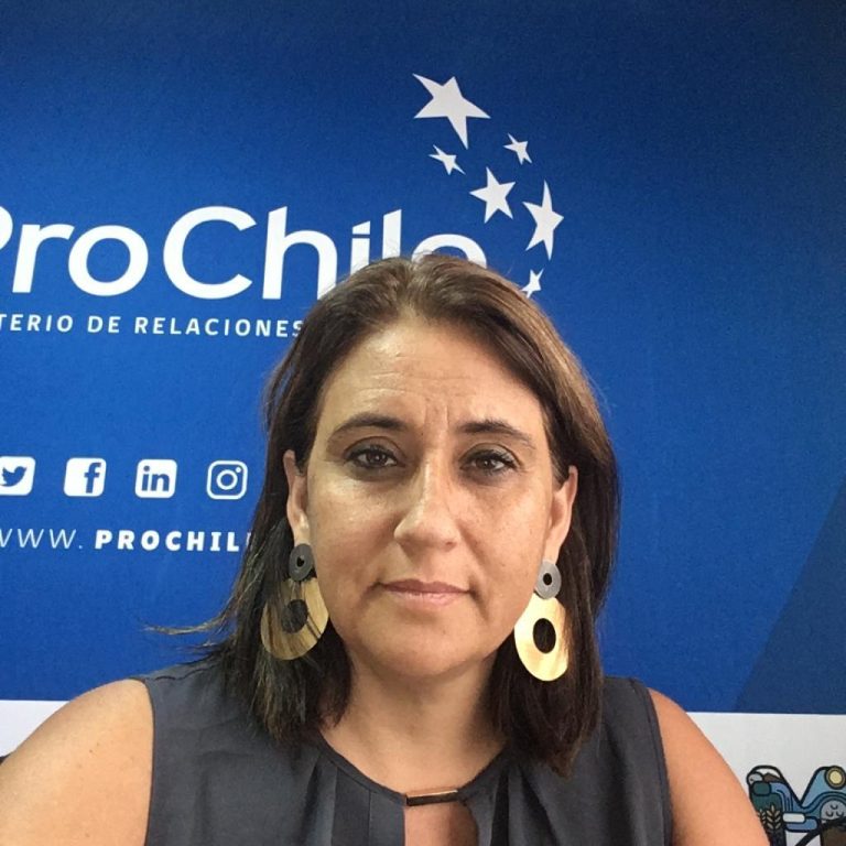 Once empresas maulinas recibirán apoyo del fondo de promoción de exportaciones