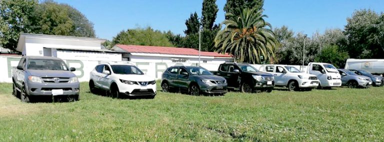 Cinco detenidos por receptación de vehículos y falsificación de patentes