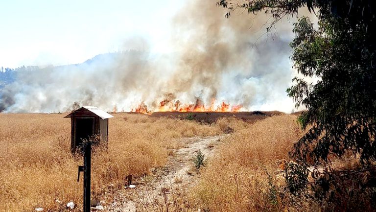 Incendios de pastizales generan emergencia en Talca y Linares