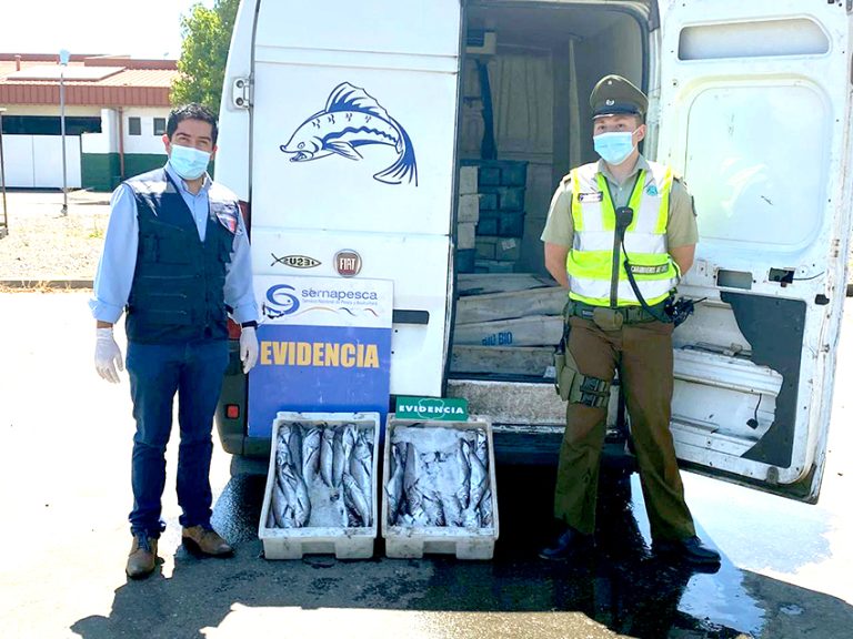 Carabineros decomisa más de 2 toneladas de merluza común