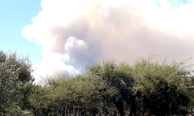 Conaf da por controlados incendios en Cauquenes