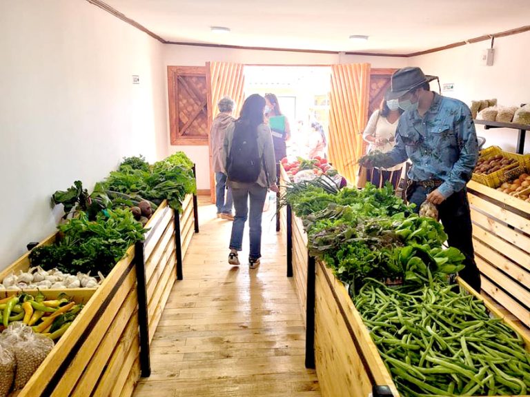 Chanco tiene mercado campesino